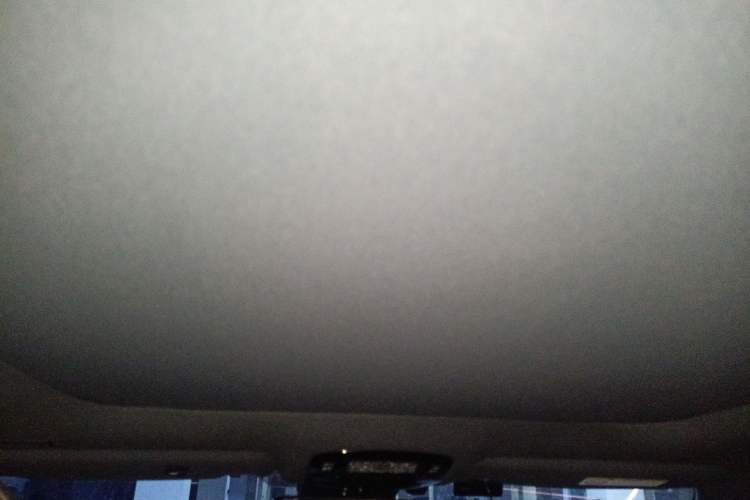 Used Lexus RX 2023 350h Four-Wheel Drive Enjoyment Version Headliner