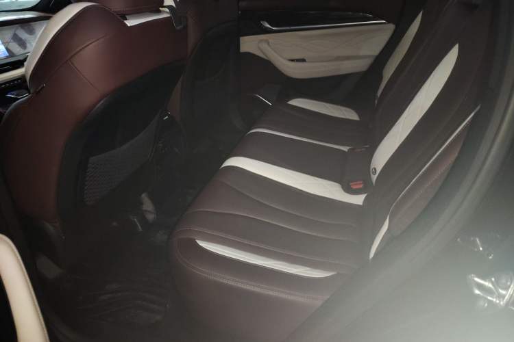 Used Geely Auto Monjaro L 2021 2.0TD DCT EVO Two-Wheel Drive Prestige Version
