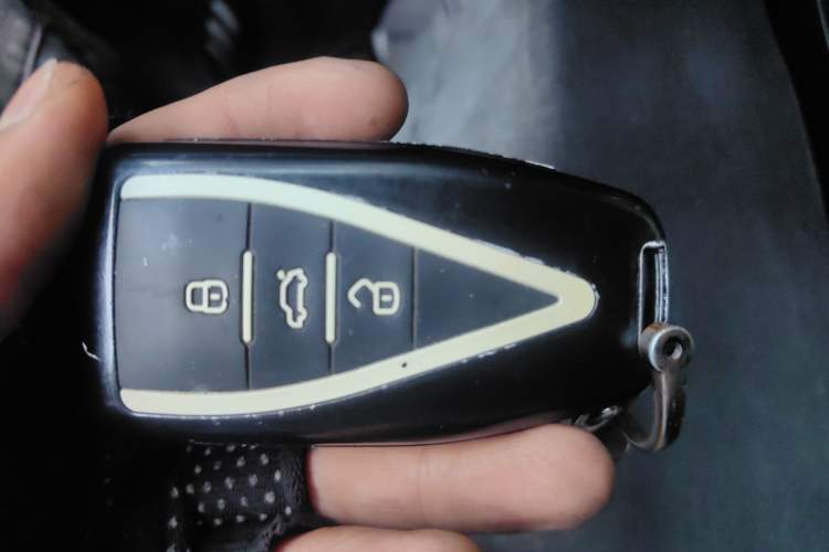 Used Venucia Star 2020 260T Automatic 48V Mild Hybrid Turbocharged Star Edition