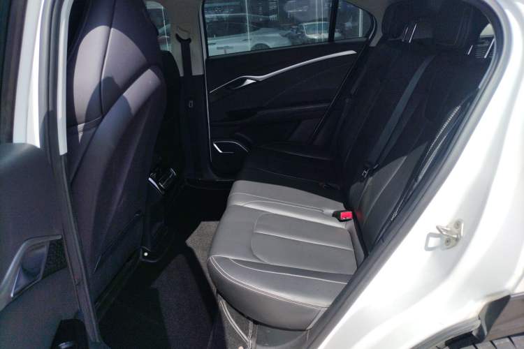 Used NETA U 2022 NETA U-Ⅱ 500 Lithium Iron Phosphate