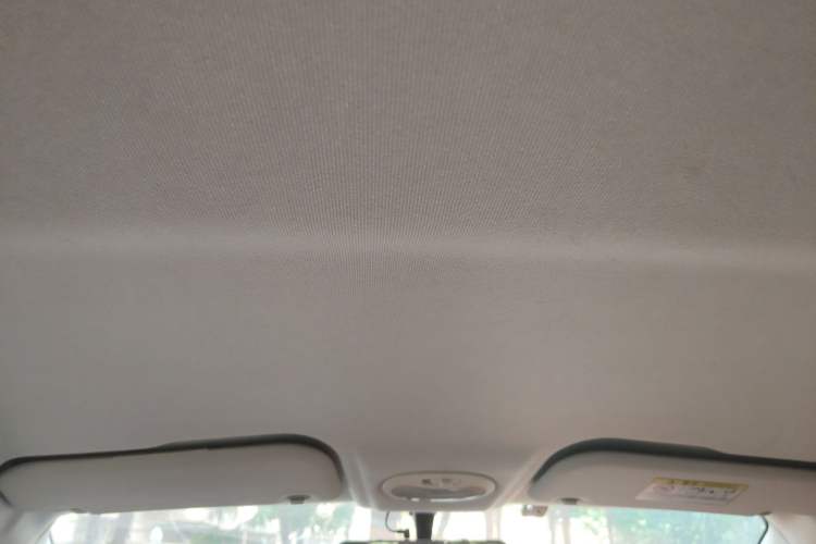 Used Chery New Energy Little Ant 2018 400 4-Seater Smart Edition Headliner