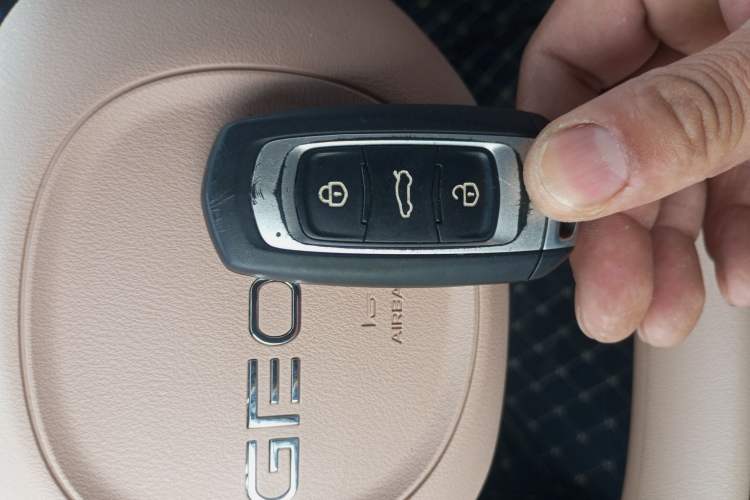 Used Geely Galaxy Panda 2024 Panda Mini 200km Endurance Bear