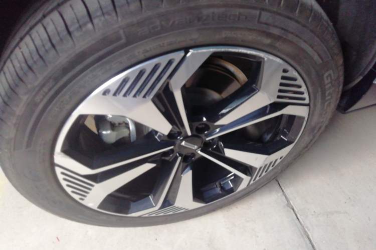 Used Wey Lanshan 2023 Four-Wheel Drive Ultra-Long Range Version