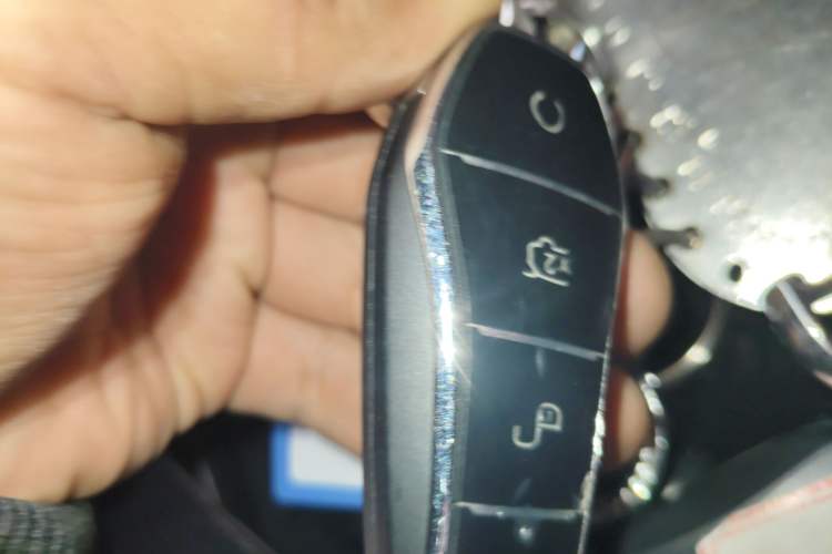 Used BYD Tang New Energy 2025 DM-i 115KM Cloud Ride Flagship Model
