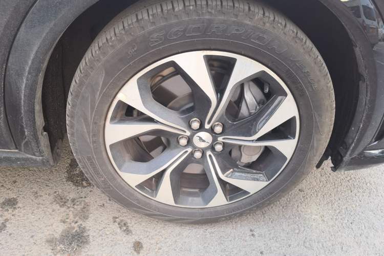 Used Ford Mustang Mach-E 2021 AION Y Plus Rear-Drive Luxury Edition (Long Range)
