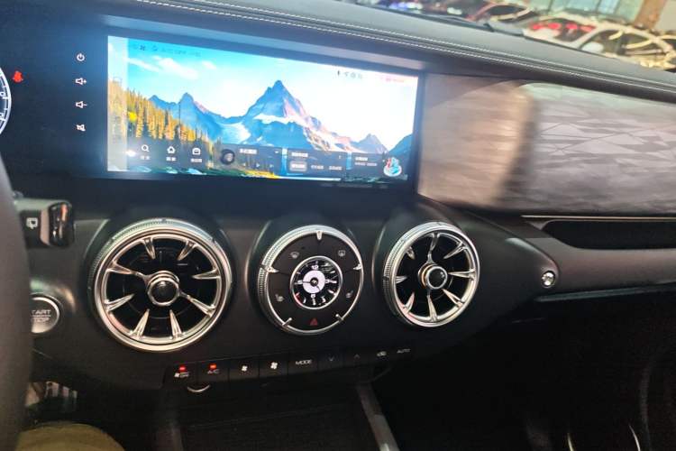 Used Tank 300 2024 2.0T Conqueror