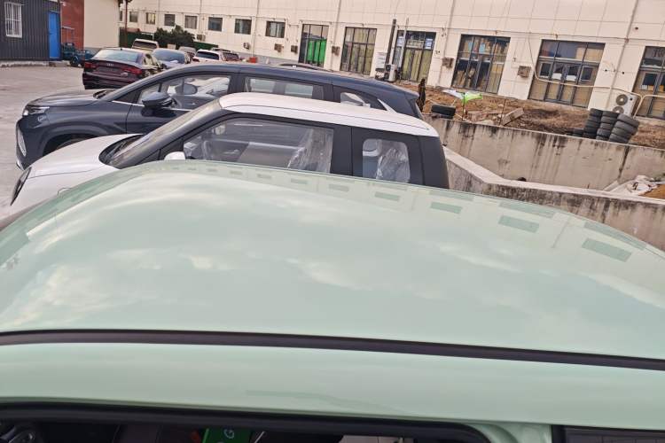 Used Qiyuan Lumin 2023 205km Xiangqin Version
