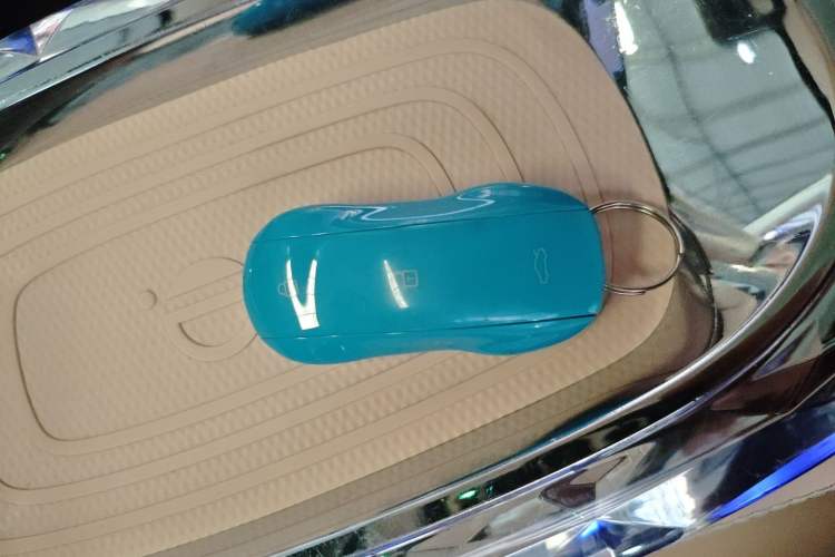 Used ORA Ballet Cat 2022 401 km Alice Edition Vehicle Key