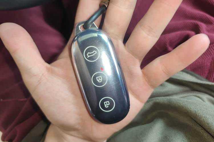 Used Li Auto L6 2024 Pro Model