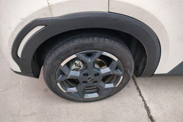 Used BYD Seagull 2025 305 km Free Version