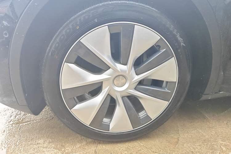 Used Tesla Model Y 2022 Rear-Wheel-Drive Version
