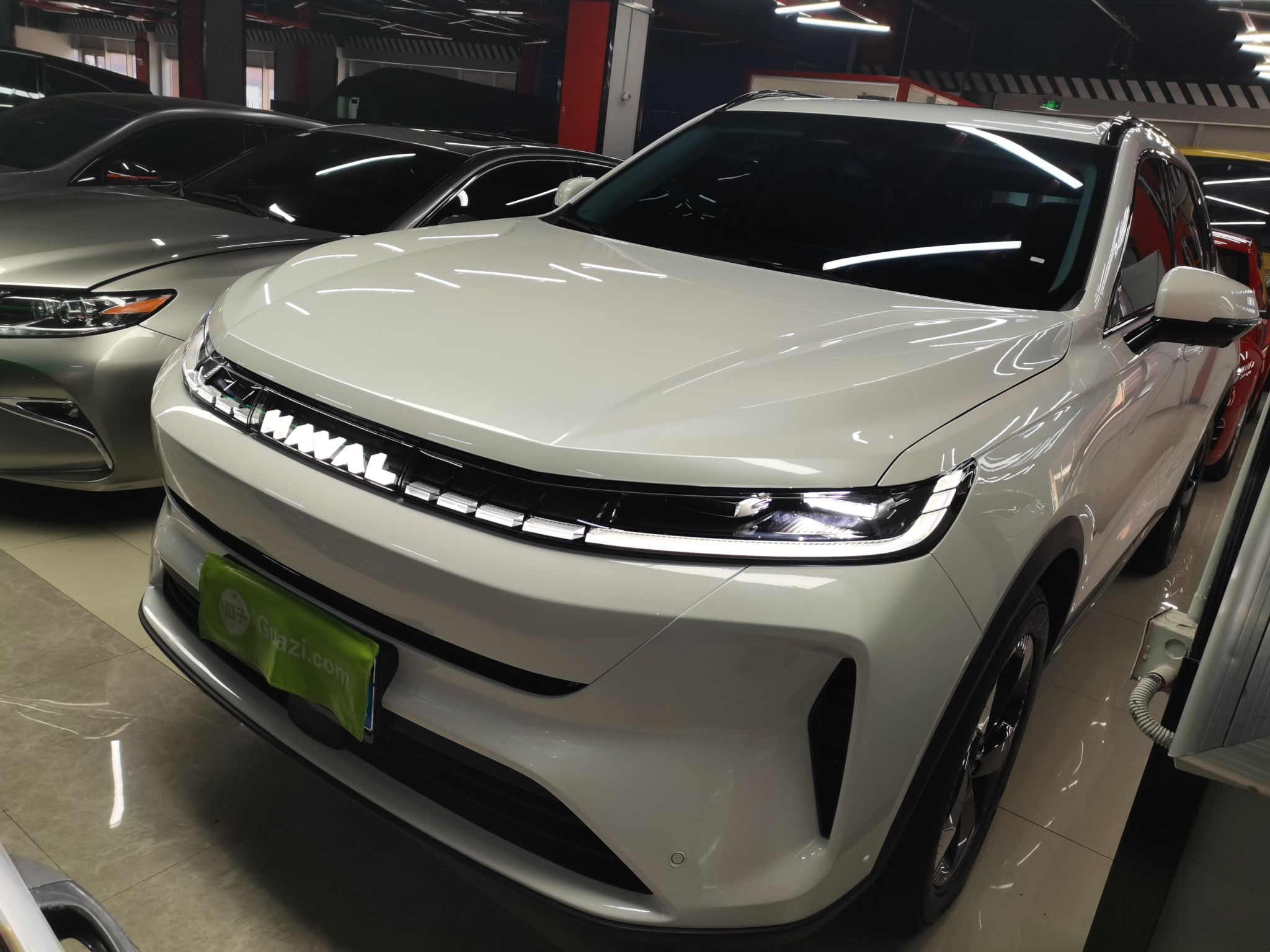 Parte inferior delantera