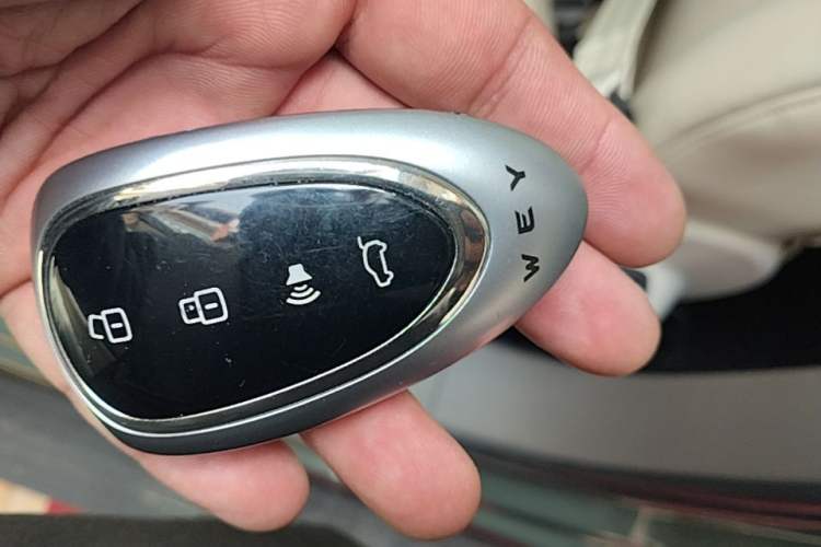 Used Wey Lanshan 2025 Four-Wheel Drive Max