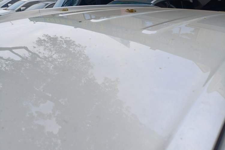 Used AION Y 2023 Plus 610 Enjoy Edition
