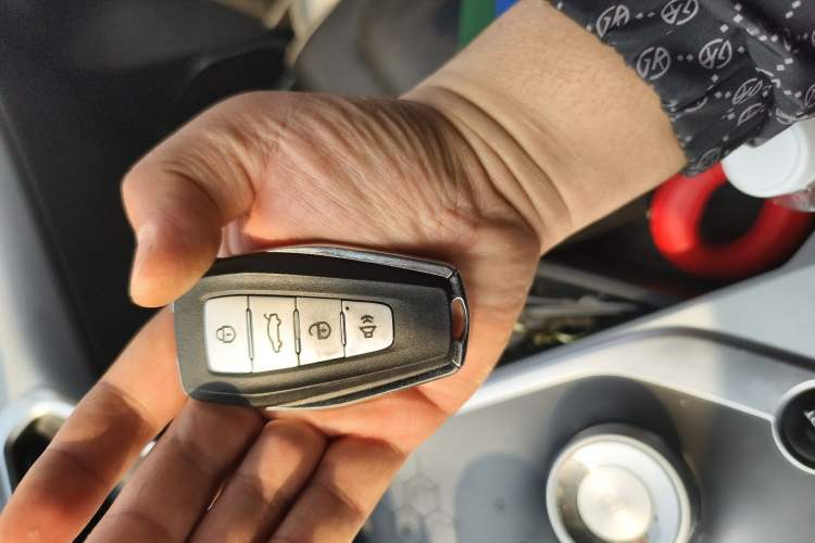 Used Geometry C 2020 Selected Range Edition 550 KM C++