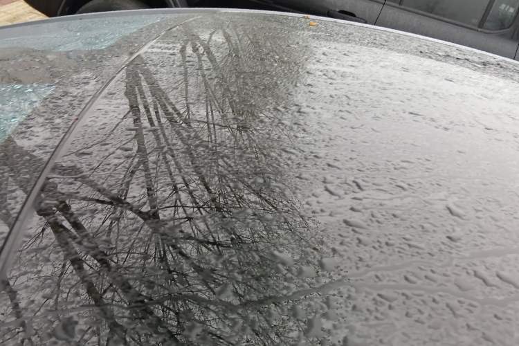 Used BYD Dolphin 2021 401km Knight Edition
