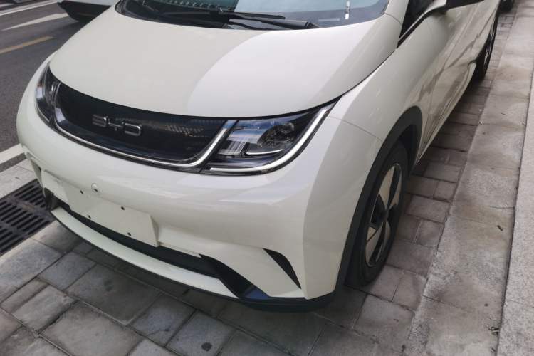 Used BYD Dolphin 2023 420 km Free Version
