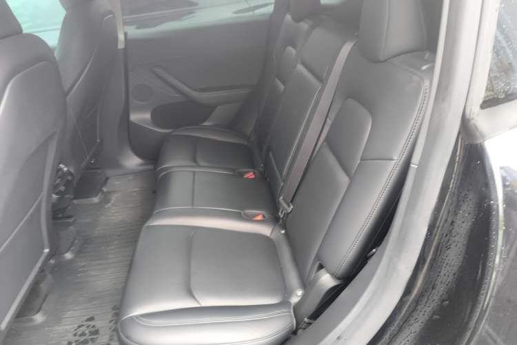 Used Tesla Model Y 2024 Rear-Wheel-Drive Version Left Rear Seat