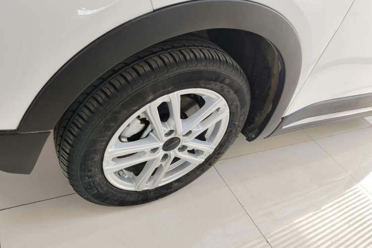 Used Dayun Yuehu 2023 300 Standard Edition
