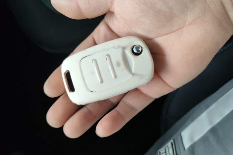 Used Wuling Hongguang MINIEV 2020 Freedom Version Lithium Iron Phosphate Interior 1