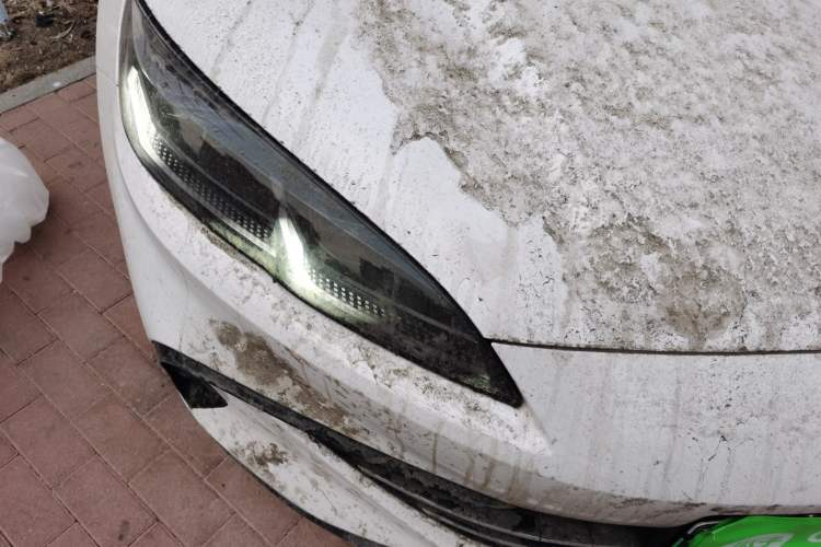 Used BYD Seal 06 New Energy 2024 DM-i 80KM Luxury Model