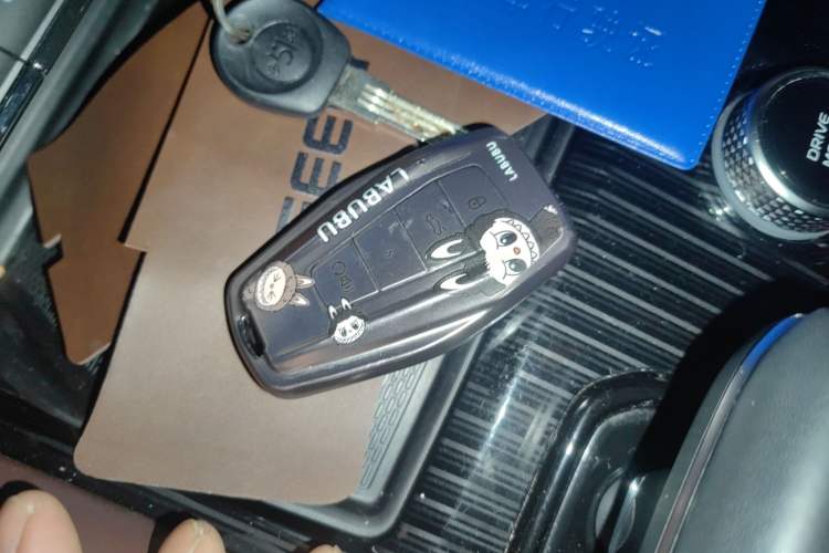 Used Geely Auto Monjaro L 2021 2.0TD DCT EVO Two-Wheel Drive Smart Luxury Version
