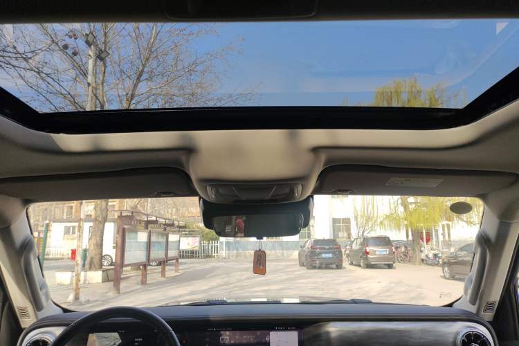 Used Tank 300 2024 2.0T Conqueror