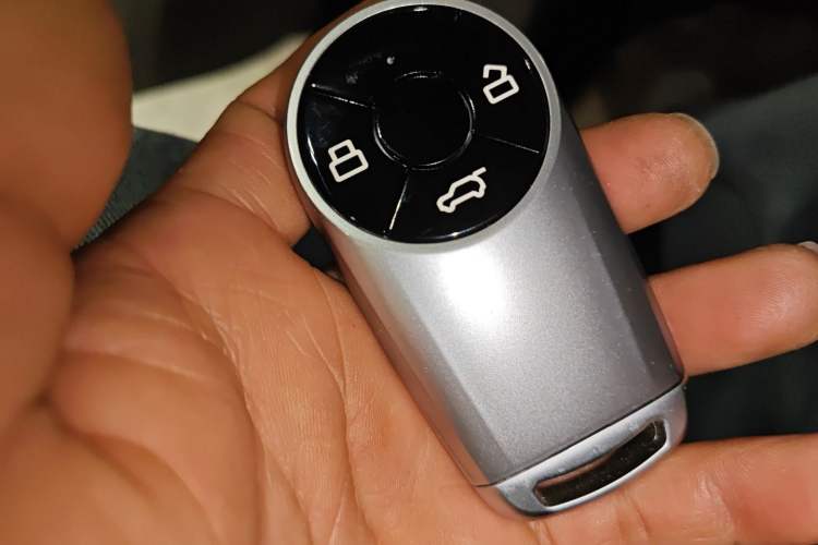 Used ORA Good Cat 2023 401 km Standard Range Prestige Version Lithium Iron Phosphate