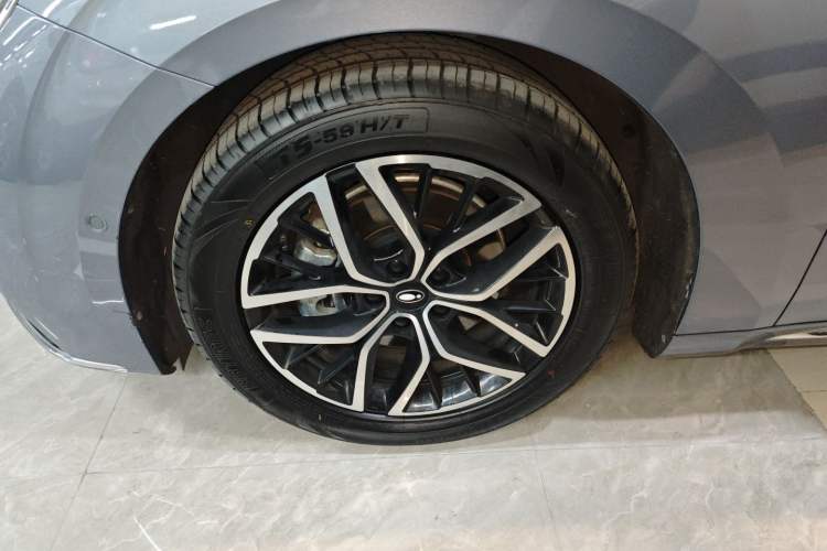 Used ORA Lightning Cat 2022 555 km Luxury Edition
