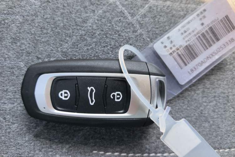 Used Geely Galaxy Panda 2024 Panda Mini 200km Endurance Bear