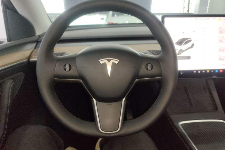 Used Tesla Model Y 2021 Standard Range Rear-Wheel Drive Version