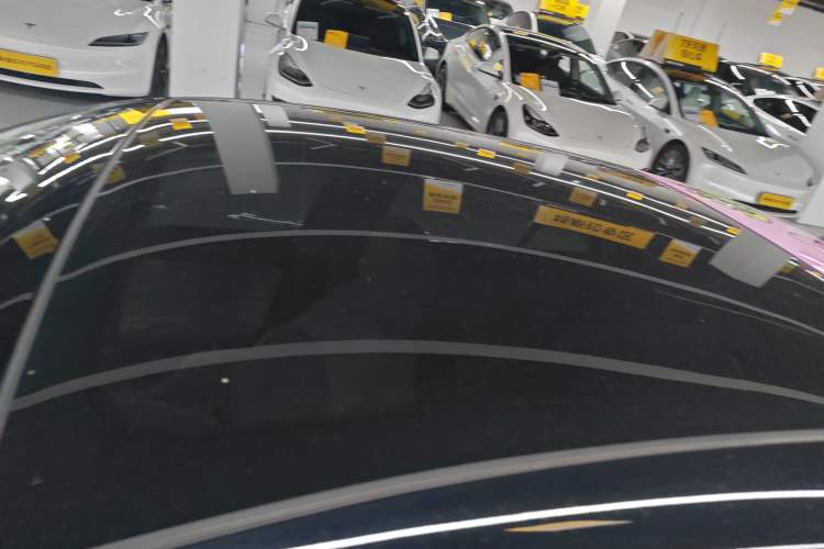 Used firefly 2025 Free Edition
