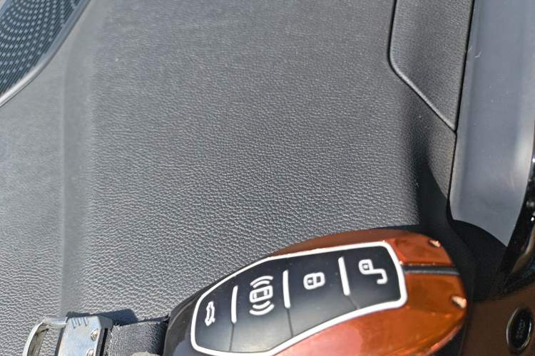 Used Hongqi HQ9 2023 2.0T Smart Connect Flagship Edition