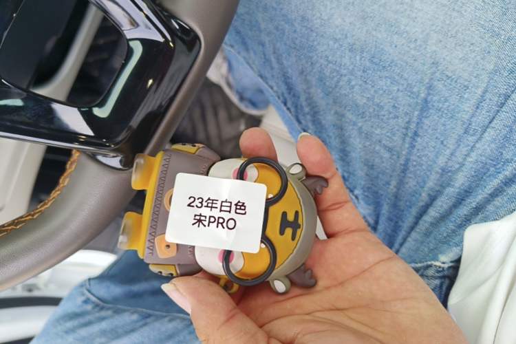 Used BYD Song Pro New Energy 2022 DM-i 110km Flagship Pro Model Vehicle Key