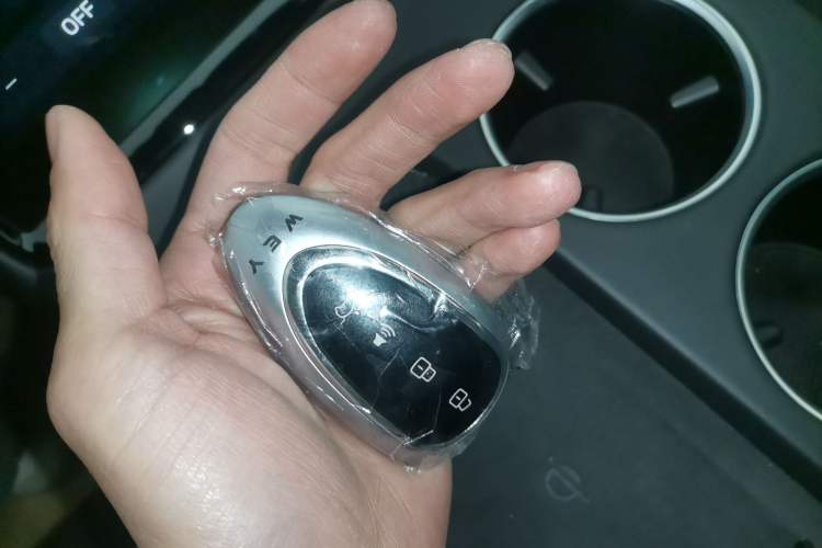 Used Wey Mocha New Energy 2024 Hi4 Four-Wheel Drive Long-Range Version