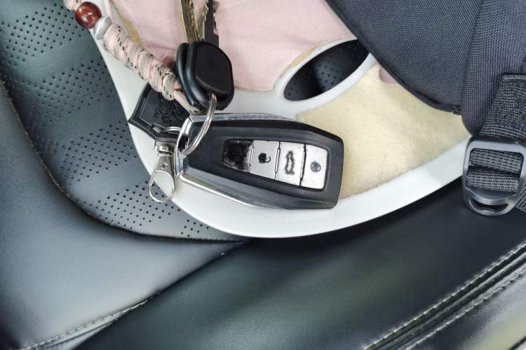 Used Geometry C 2022 Blueberry C400 Vehicle Key