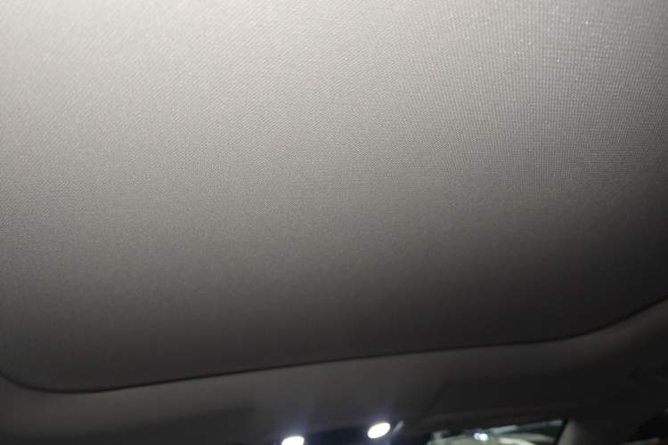 Used Leapmotor C11 2024 All-Electric 580 Luxury Edition Headliner