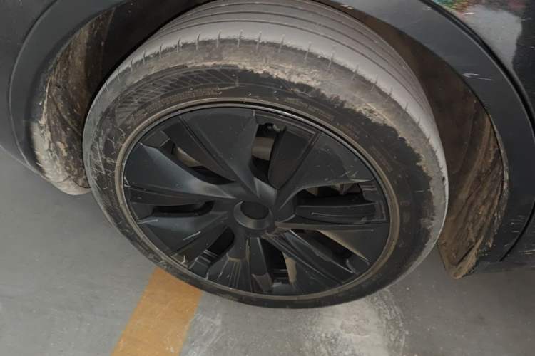 Used Tesla Model Y 2023 Rear-Wheel-Drive Version
