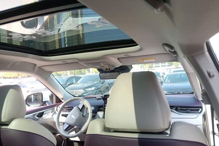 Used Wey Mocha 2021 2.0T Two-Wheel-Drive Premium Edition
