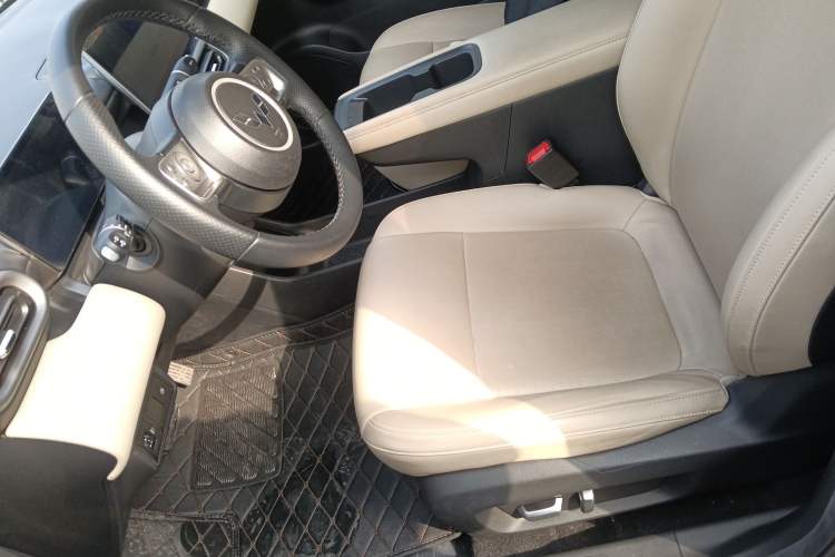 Used Wuling Bingo PLUS 2024 330 km Range Five-Seater Version