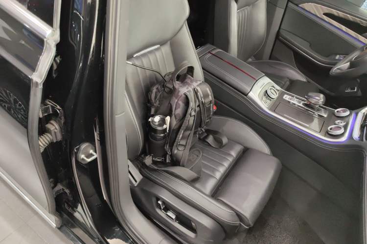 Used Hongqi H9 2023 2.0T Smart Connect Flagship Edition Right Front Seat