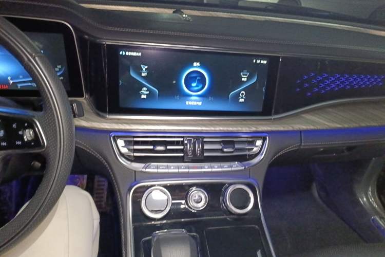 Used Hongqi H9 2020 3.0T Smart Connect Flagship Edition
