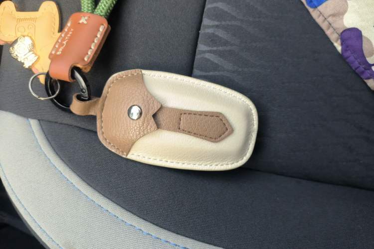 Used ORA Black Cat 2021 351 km Luxury Version