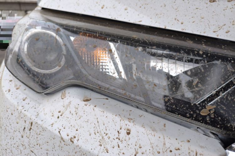 Used JMC Yuhu 7 2023 2.0T Automatic Diesel 4x4 Comfort Plus Long Wheelbase Right Front Headlight