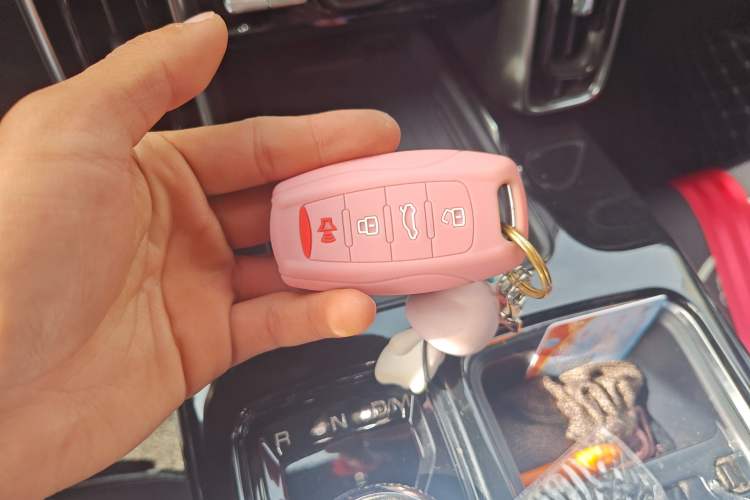 Used Haval DARGO 2021 2.0T DCT All-Wheel-Drive "Hao Tian Quan" Edition