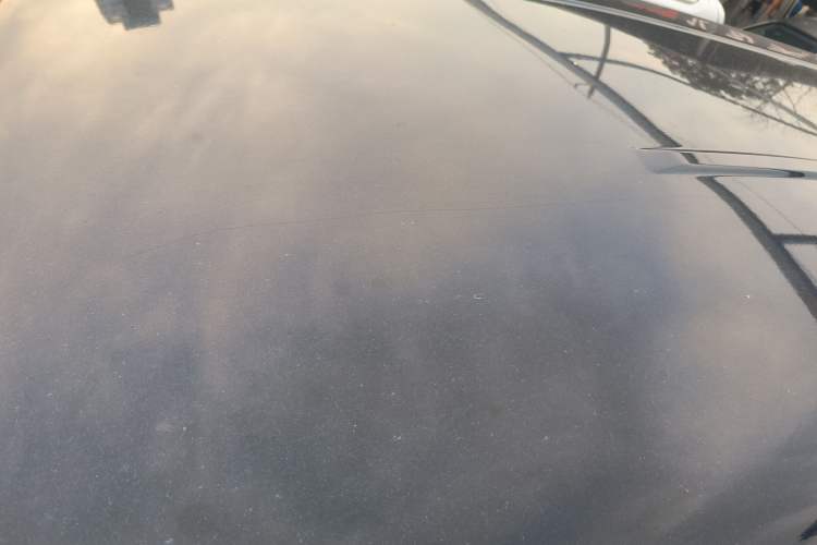 Used FORTHING Lingzhi 2022 Striving Version M5L 2.0L Luxury 7-Seater