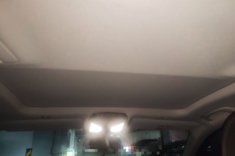 Used BMW 5 Series 2019 530Li Leading Model Luxury Package Headliner