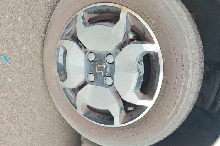 Used SOL E10X 2022 Flower Fairy Style Baby's Breath