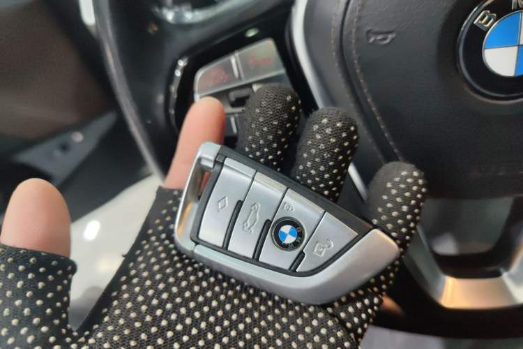 Used BMW 5 Series New Energy 2020 530Le Luxury Package
