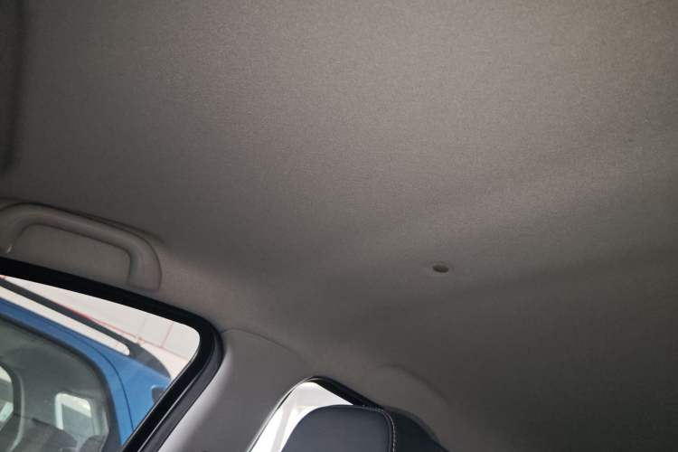 Used SOL E10X 2022 Flower Fairy Style Baby's Breath